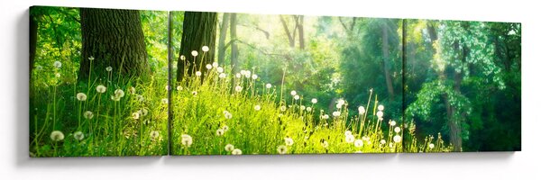 Obraz - Magiczna łąka pełna mniszków lekarskich (170x50 cm)