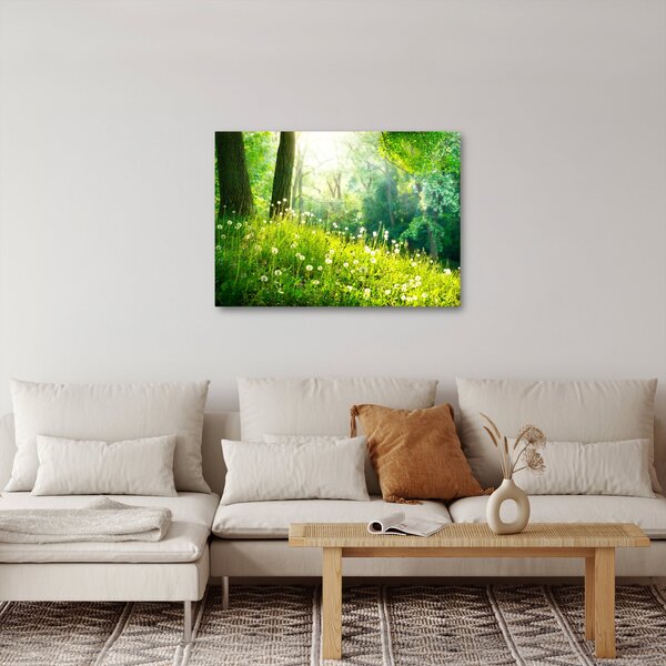Obraz - Magiczna łąka pełna mniszków lekarskich (70x50 cm)