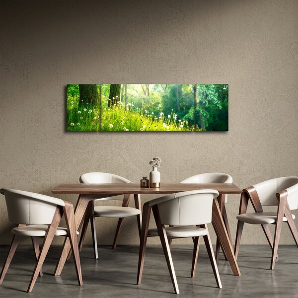 Obraz - Magiczna łąka pełna mniszków lekarskich (170x50 cm)