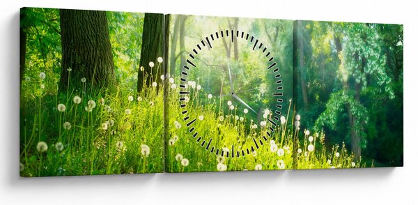 Obraz - Magiczna łąka pełna mniszków lekarskich (z zegarem) (90x30 cm)