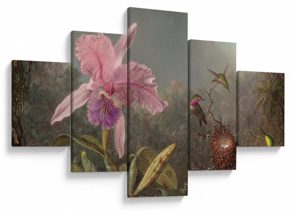 Obraz - Martin Johnson Heade, Cattleya Orchid and Three Hummingbirds, reprodukcje (125x70 cm)