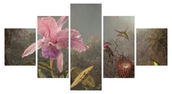Obraz - Martin Johnson Heade, Cattleya Orchid and Three Hummingbirds, reprodukcje (125x70 cm)