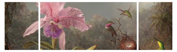 Obraz - Martin Johnson Heade, Cattleya Orchid and Three Hummingbirds, reprodukcje (170x50 cm)