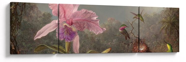 Obraz - Martin Johnson Heade, Cattleya Orchid and Three Hummingbirds, reprodukcje (170x50 cm)