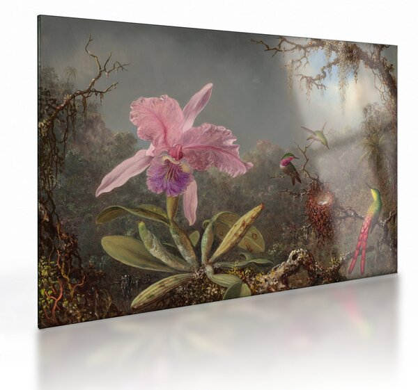 Obraz na szkle - Martin Johnson Heade, Cattleya Orchid and Three Hummingbirds, reprodukcje (70x50 cm)