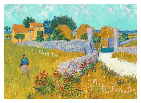 Obraz - Vincent van Gogh, Farmhouse in Provence, reprodukcje (70x50 cm)