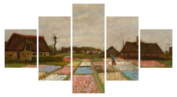 Obraz - Vincent van Gogh, Flower Beds in Holland, reprodukcje (125x70 cm)