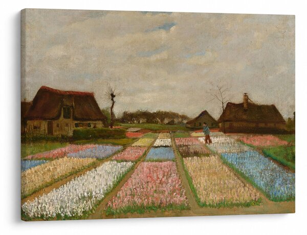 Obraz - Vincent van Gogh, Flower Beds in Holland, reprodukcje (70x50 cm)