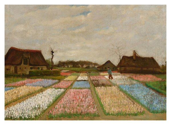 Obraz - Vincent van Gogh, Flower Beds in Holland, reprodukcje (70x50 cm)
