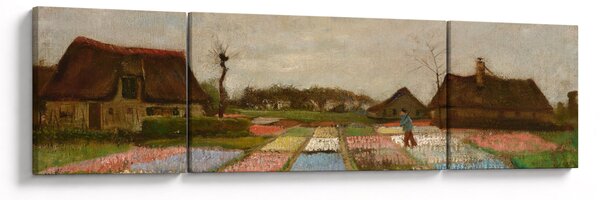 Obraz - Vincent van Gogh, Flower Beds in Holland, reprodukcje (170x50 cm)