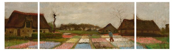 Obraz - Vincent van Gogh, Flower Beds in Holland, reprodukcje (170x50 cm)