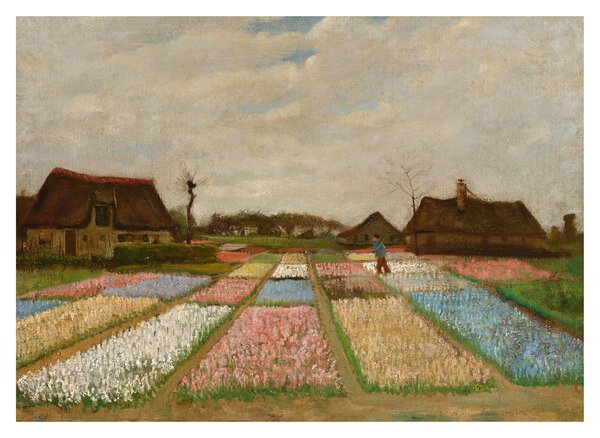 Obraz na szkle - Vincent van Gogh, Flower Beds in Holland, reprodukcje (70x50 cm)