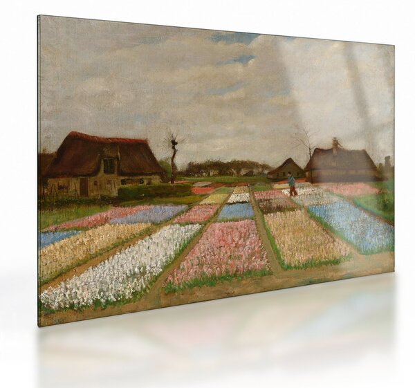 Obraz na szkle - Vincent van Gogh, Flower Beds in Holland, reprodukcje (70x50 cm)
