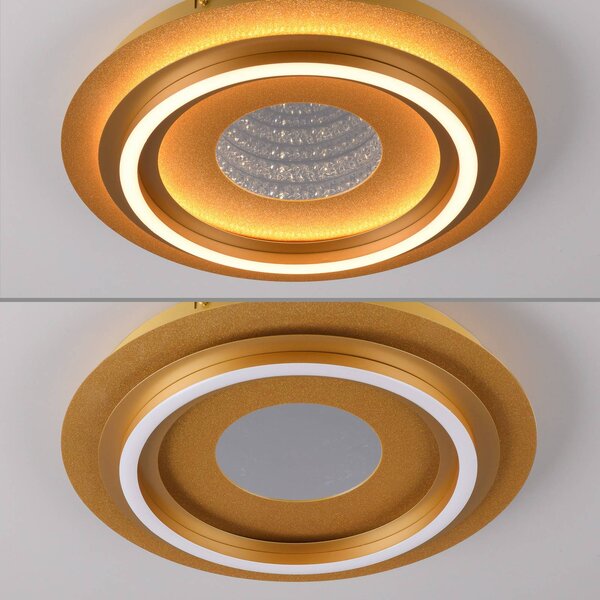 JUST LIGHT. GmbH Lampa sufitowa Cichio, mosiężny / złoty, salon / jadalnia, metal, nowoczesny
