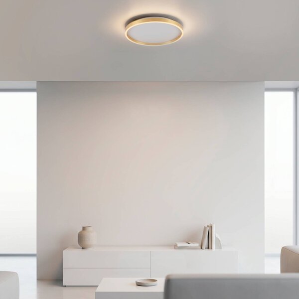 JUST LIGHT. GmbH Lampa sufitowa Madlen, możliwość ściemniania, mosiężny / złoty, salon / jadalnia, metal, nowoczesny
