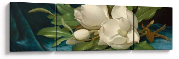 Obraz - Martin Johnson Heade, Giant Magnolias on a Blue Velvet Cloth, reprodukcje (170x50 cm)