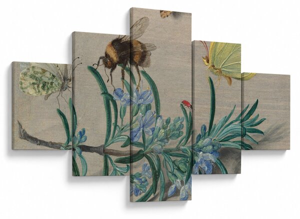 Obraz - Jan van Kessel the Elder, Insects and a Sprig of Rosemary, reprodukcje (125x70 cm)