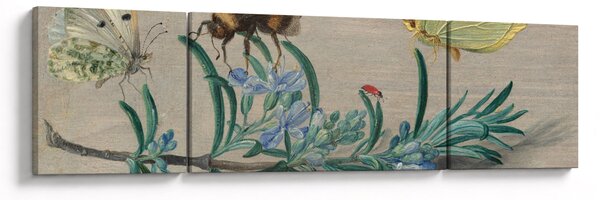 Obraz - Jan van Kessel the Elder, Insects and a Sprig of Rosemary, reprodukcje (170x50 cm)