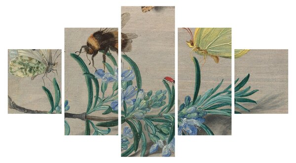 Obraz - Jan van Kessel the Elder, Insects and a Sprig of Rosemary, reprodukcje (125x70 cm)