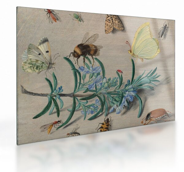 Obraz na szkle - Jan van Kessel the Elder, Insects and a Sprig of Rosemary, reprodukcje (70x50 cm)