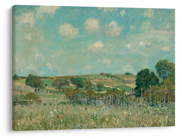 Obraz - Alfred Sisley, Meadow, reprodukcje (70x50 cm)