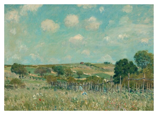 Obraz - Alfred Sisley, Meadow, reprodukcje (70x50 cm)