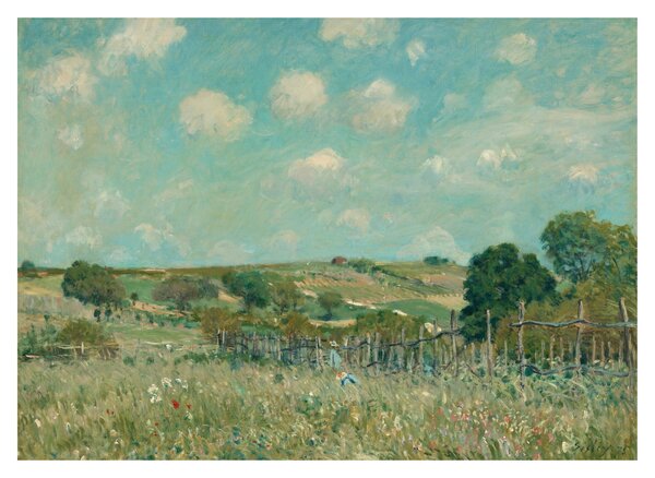 Obraz na szkle - Alfred Sisley, Meadow, reprodukcje (70x50 cm)