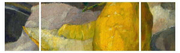 Obraz - French 19th Century, Melon and Lemon, reprodukcje (170x50 cm)