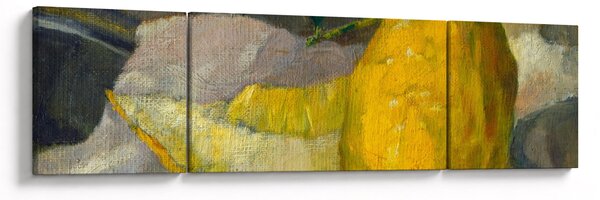 Obraz - French 19th Century, Melon and Lemon, reprodukcje (170x50 cm)