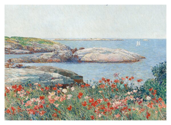 Obraz na szkle - Childe Hassam, Poppies, Isles of Shoals, reprodukcje (70x50 cm)