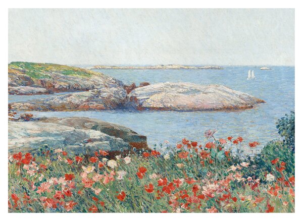 Obraz - Childe Hassam, Poppies, Isles of Shoals, reprodukcje (70x50 cm)