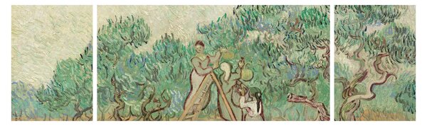 Obraz - Vincent van Gogh, The Olive Orchard, reprodukcje (170x50 cm)