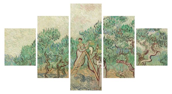 Obraz - Vincent van Gogh, The Olive Orchard, reprodukcje (125x70 cm)