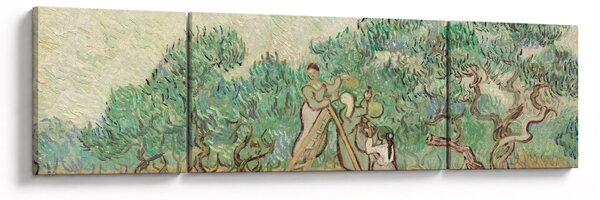 Obraz - Vincent van Gogh, The Olive Orchard, reprodukcje (170x50 cm)