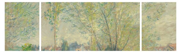 Obraz - Claude Monet, The Willows, reprodukcje (170x50 cm)
