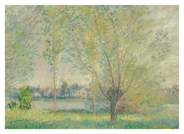 Obraz - Claude Monet, The Willows, reprodukcje (70x50 cm)