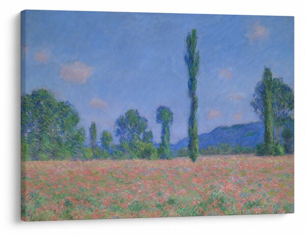 Obraz - Claude Monet, Poppy Field (Giverny), reprodukcje (70x50 cm)