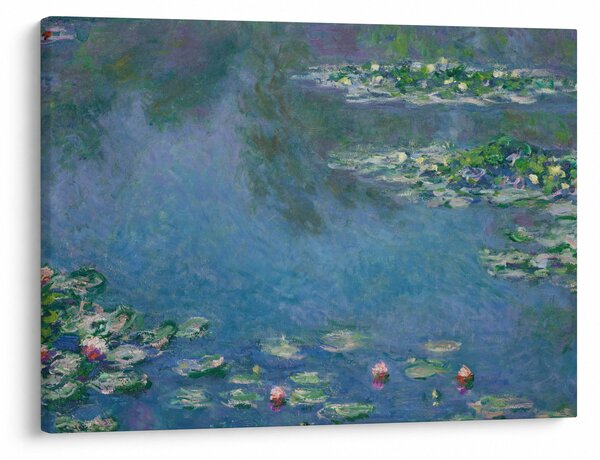 Obraz - Claude Monet, Water Lilies, reprodukcje (70x50 cm)