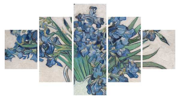 Obraz - Vincent van Gogh, Irises, reprodukcje (125x70 cm)