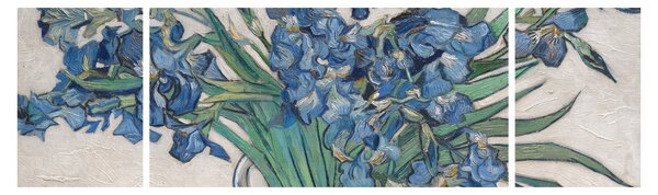 Obraz - Vincent van Gogh, Irises, reprodukcje (170x50 cm)
