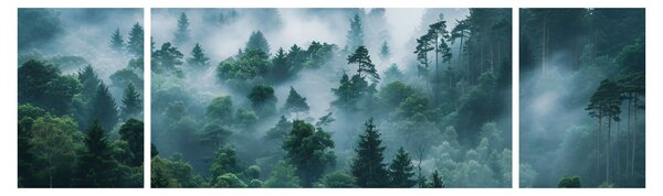 Obraz - Las we mgle (170x50 cm)