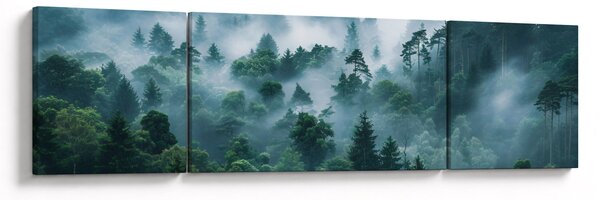 Obraz - Las we mgle (170x50 cm)