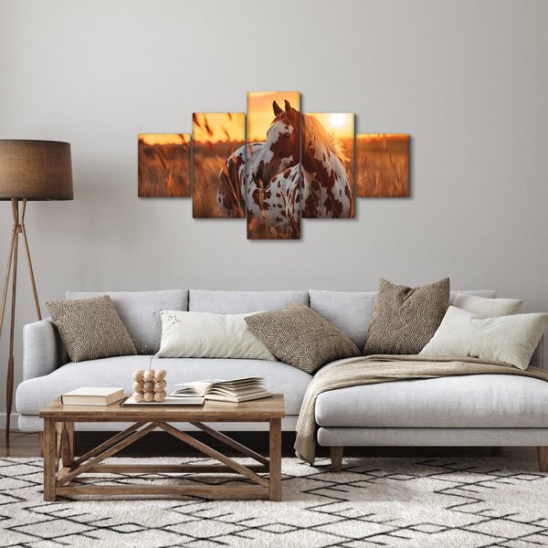 Obraz - Koń o zachodzie słońca (125x70 cm)