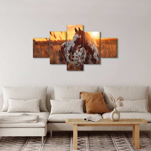 Obraz - Koń o zachodzie słońca (125x70 cm)