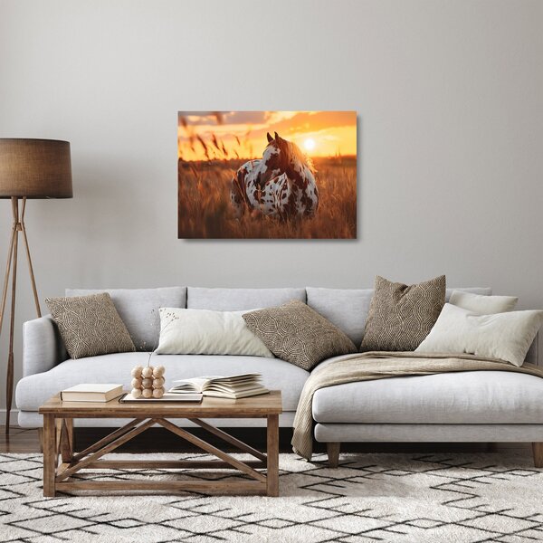 Obraz na szkle - Koń o zachodzie słońca (70x50 cm)