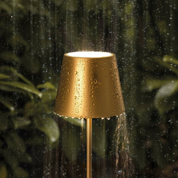 Sigor Akumulatorowa lampa stołowa LED Nuindie mini, USB-C, złota, IP54, ściemniana Nuindie, możliwość ściemniania, mosiężny / złoty, salon / jadalnia, aluminium, nowoczesny