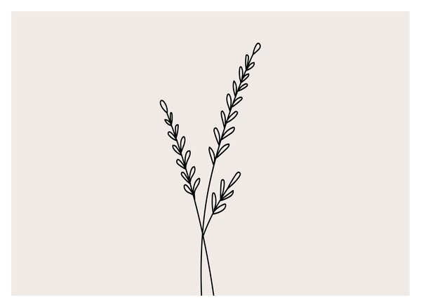 Obraz na szkle - Meadow Flower N⁰2 (70x50 cm)