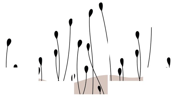 Obraz - Łąka graficzna N⁰1 (125x70 cm)