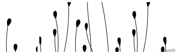 Obraz - Łąka graficzna N⁰1 (170x50 cm)