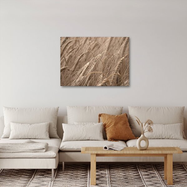 Obraz - Złote pole (70x50 cm)